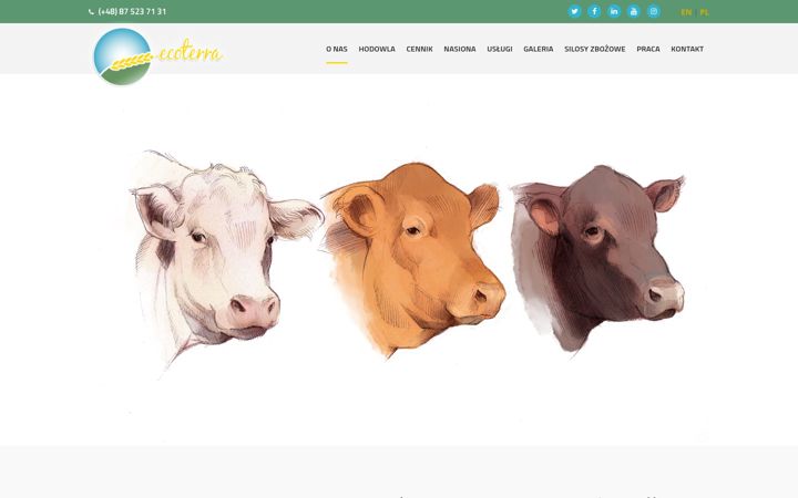 Screenshot of ecoterra.pl