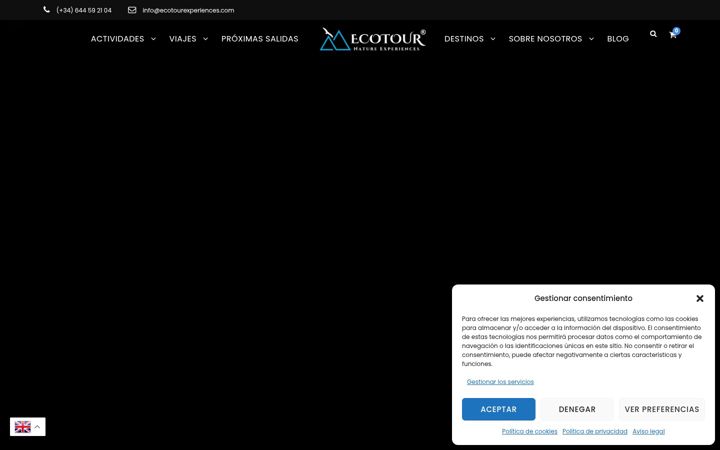 Screenshot of ecotourexperiences.com