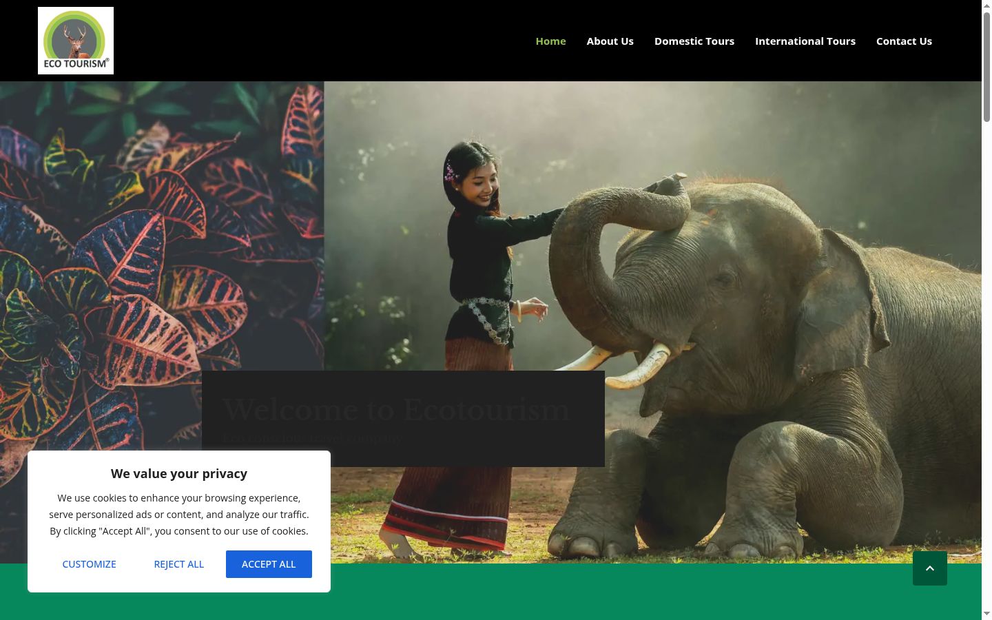 Screenshot of the consent banner shown before any interaction