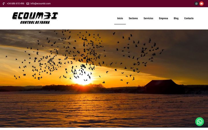 Screenshot of ecoumbi.com