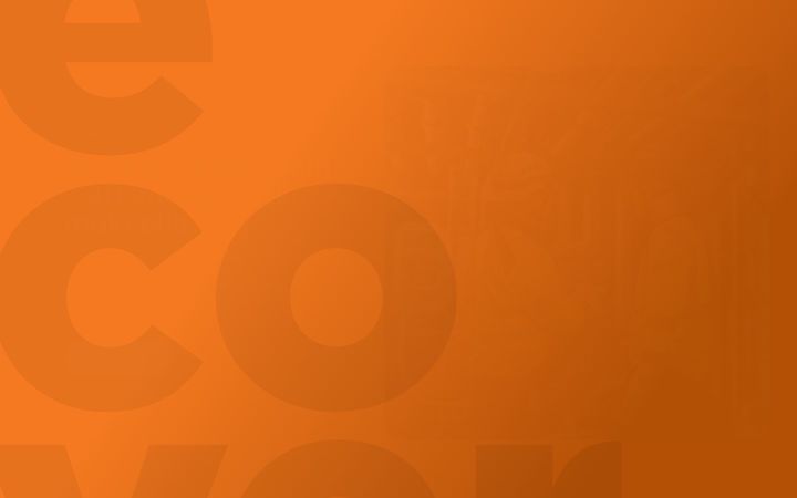 Captura de pantalla de ecover.fi