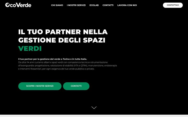 Screenshot of ecoverdesrl.net