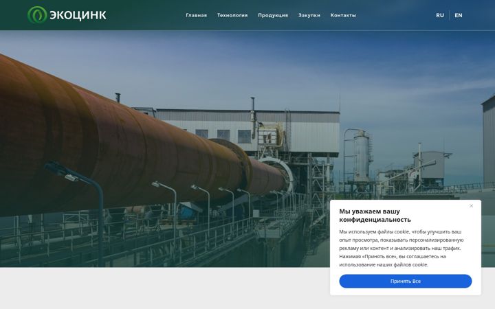 Screenshot stránky ecozinc.ru