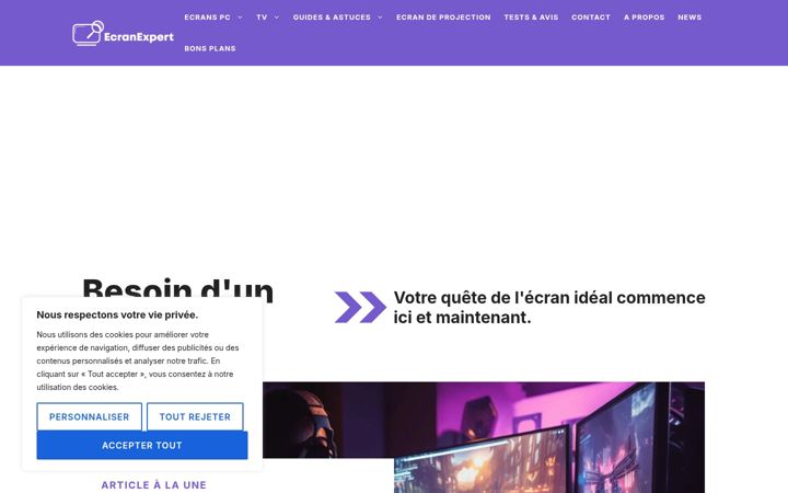 Screenshot of ecranexpert.com