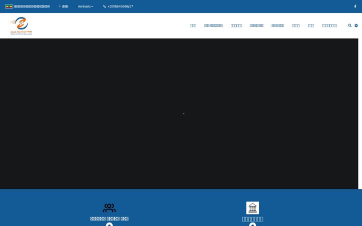 Screenshot of ecsc.gov.et