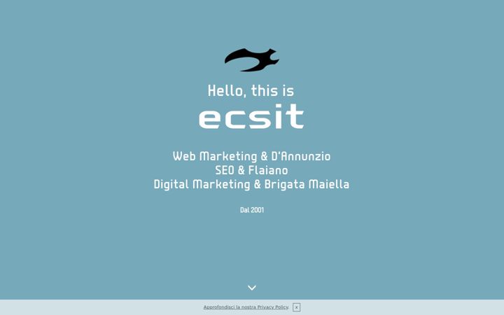 Screenshot of ecsit.com