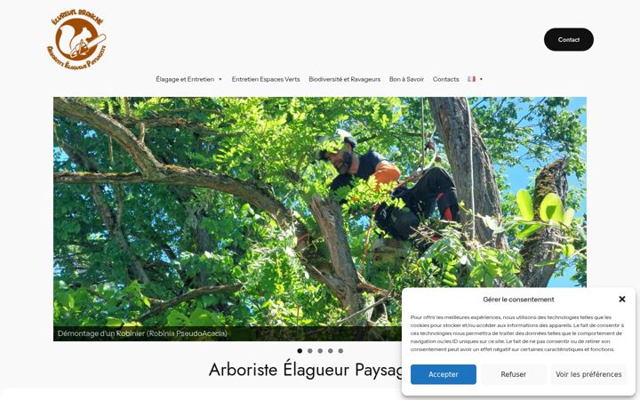 Screenshot του ecureuilbranche.fr