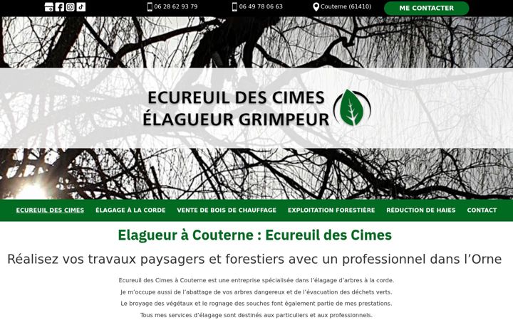 Screenshot του ecureuildescimes.fr