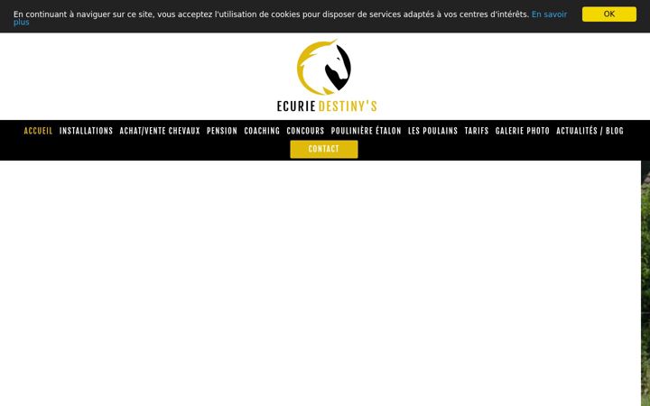 Screenshot του ecurie-destinys.fr