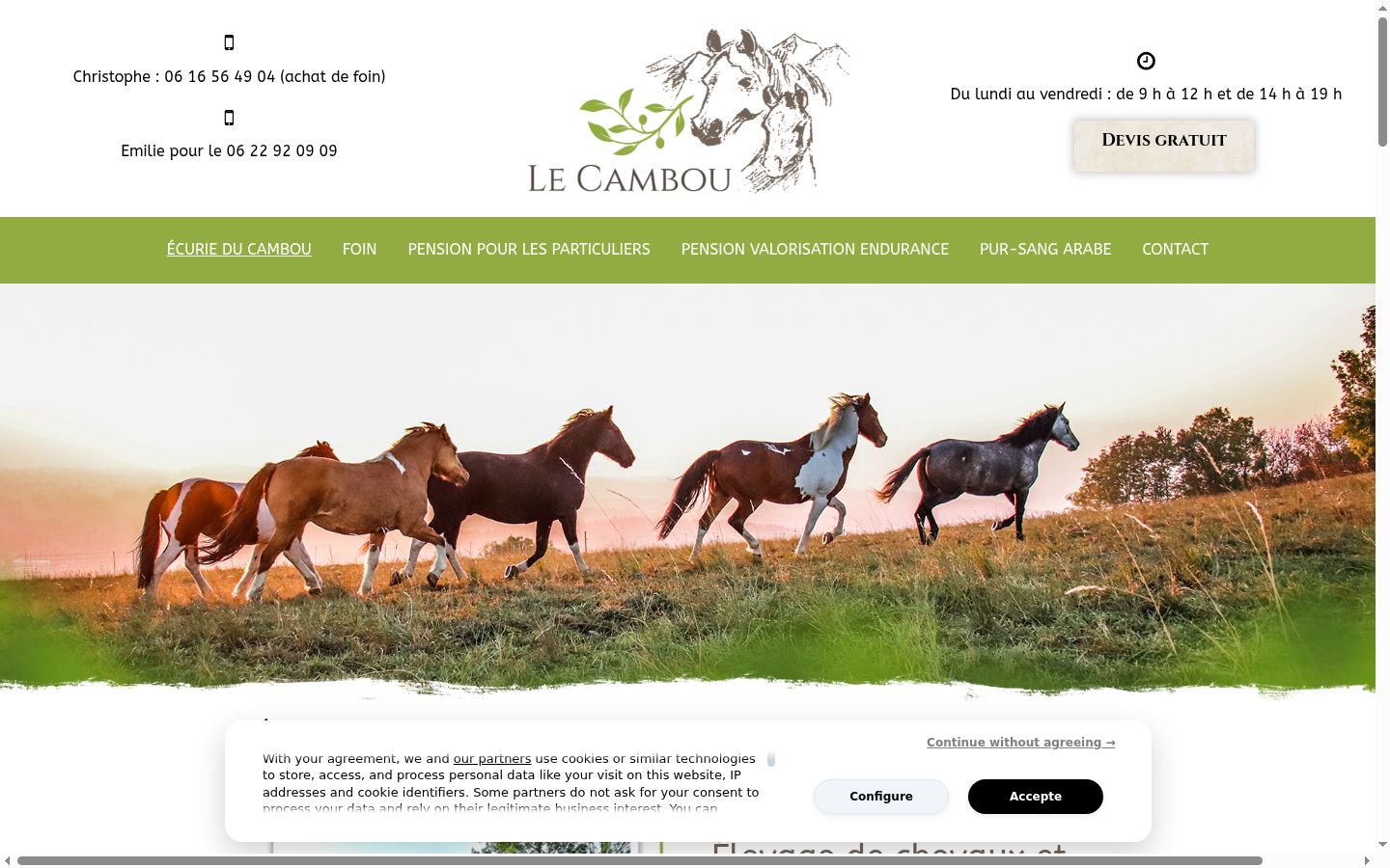 Screenshot of the consent banner shown before any interaction