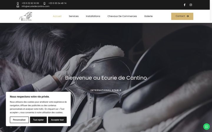 Screenshot of ecuriedecantino.com