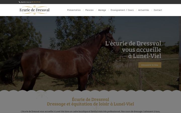 Capture d'écran de ecuriededressval.fr
