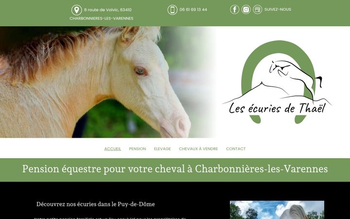 Capture d'écran de ecuriedethael.fr