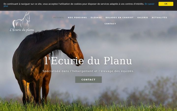 Screenshot of ecurieduplanu.fr