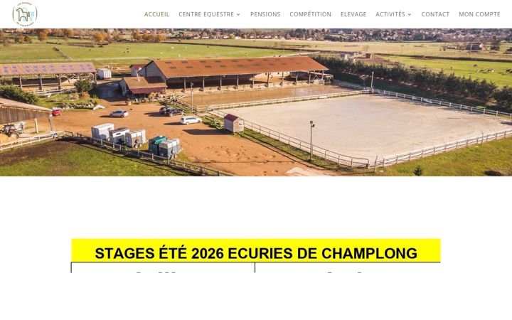 Screenshot of ecuriesdechamplong.com