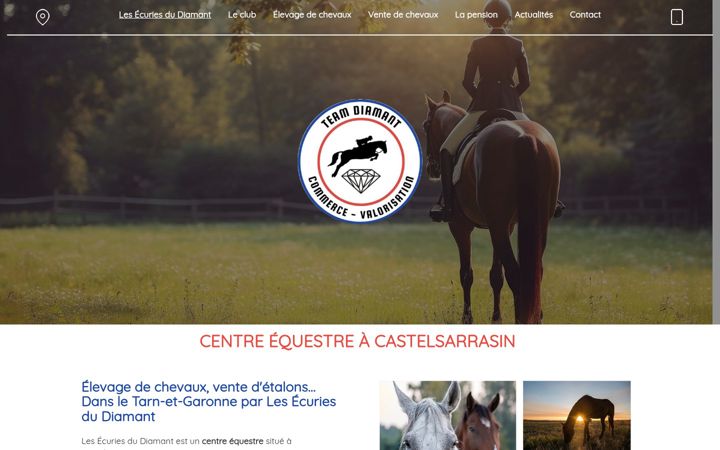 Screenshot van ecuriesdudiamant.fr