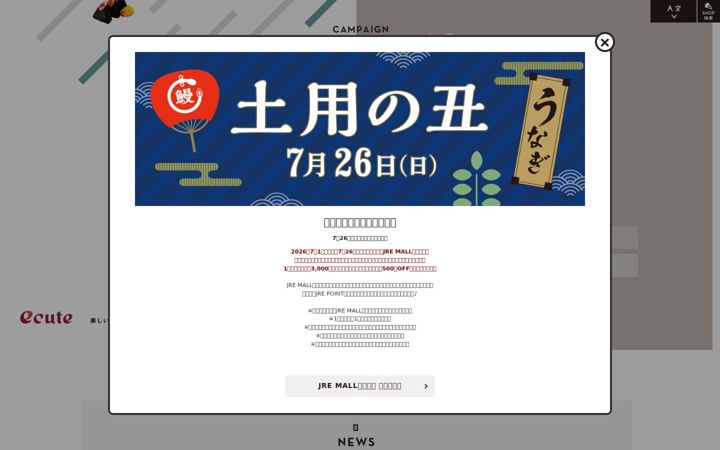 Screenshot of ecute.jp