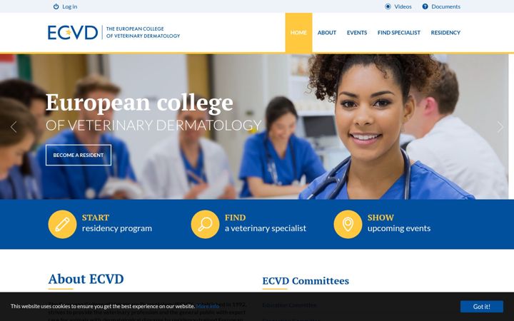 Screenshot of ecvd.org