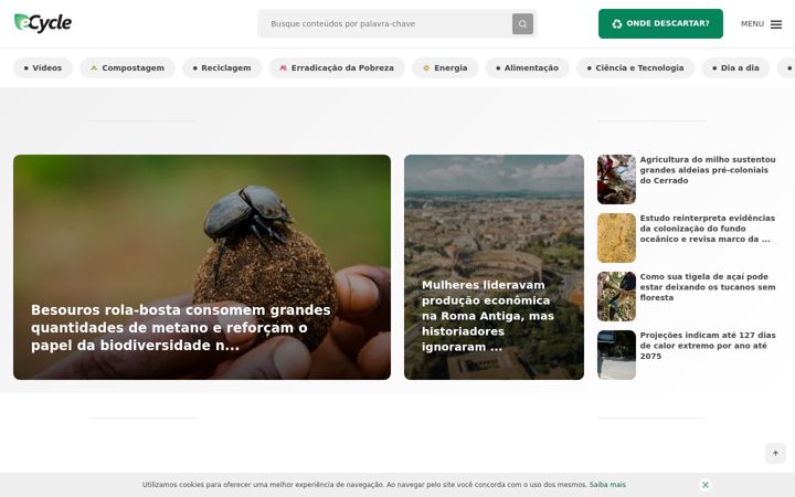 Zrzut ekranu ecycle.com.br