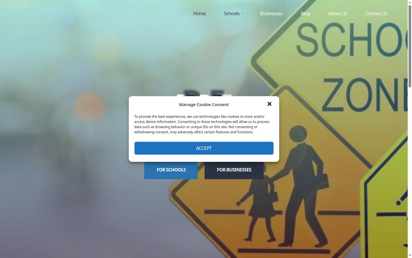 Screenshot of the consent banner shown before any interaction