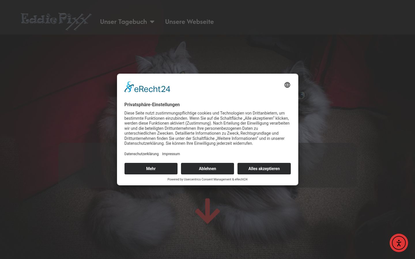 Screenshot of the consent banner shown before any interaction
