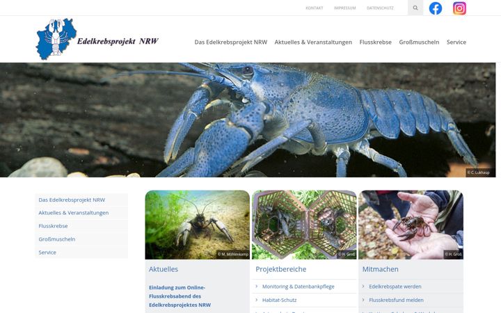 Screenshot of edelkrebsprojektnrw.de