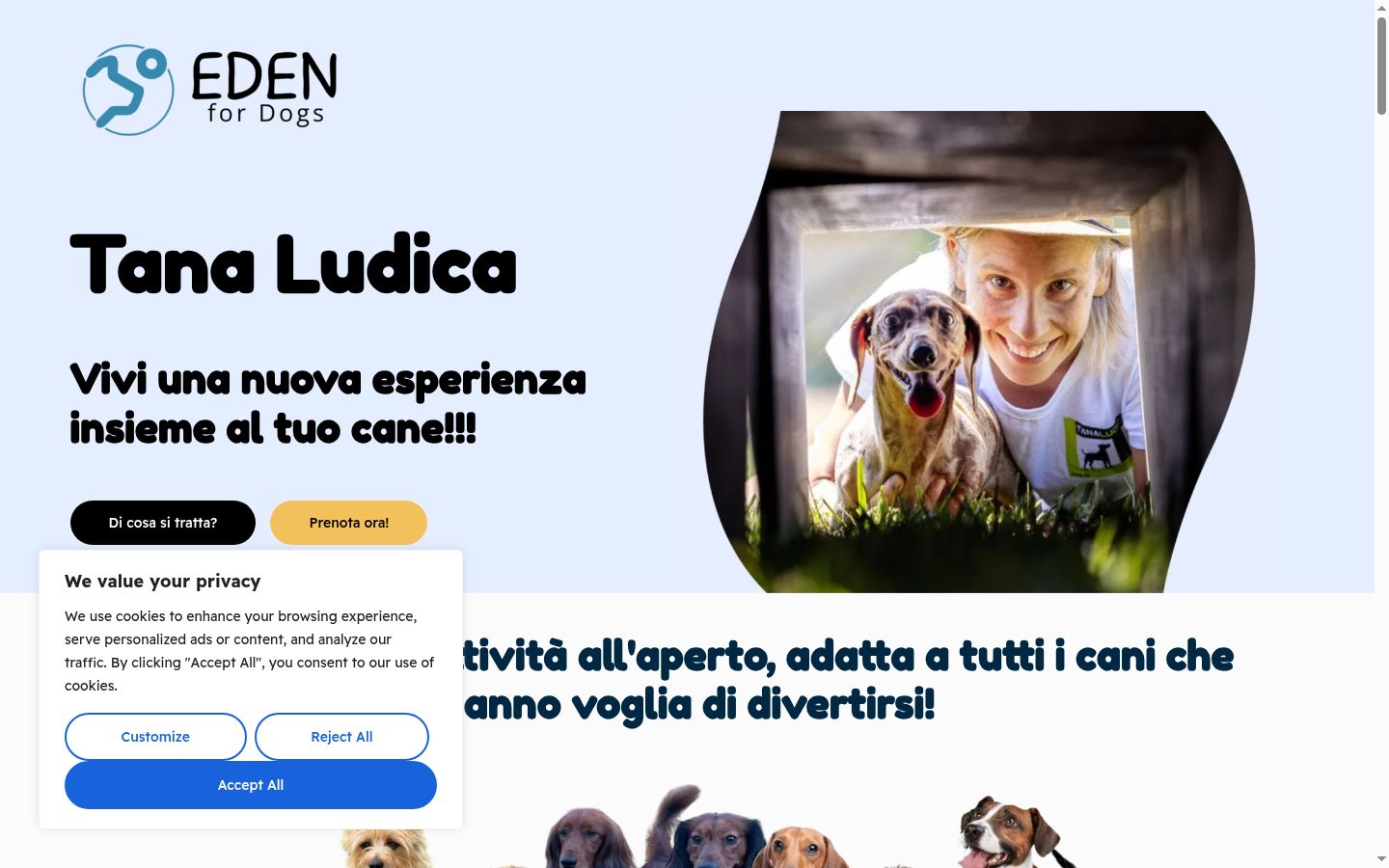 Screenshot del banner di consenso mostrato prima di qualsiasi interazione