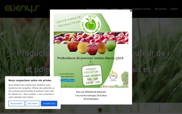 Captură de ecran a edenys.net