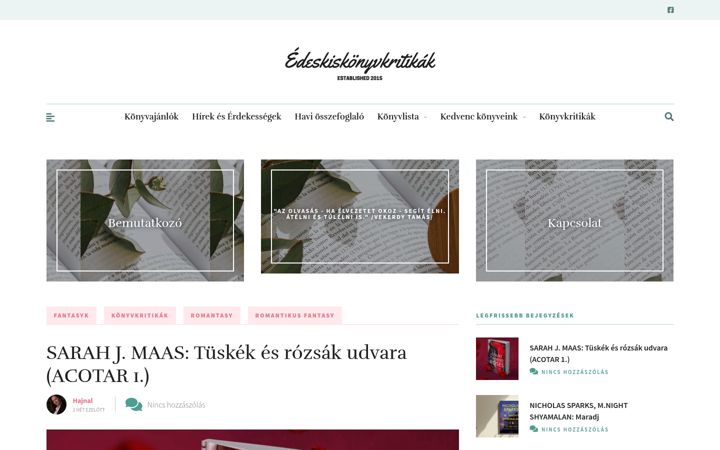 Skjermbilde av edeskiskonyvkritikak.hu