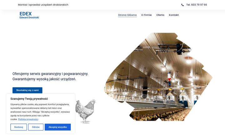 Captura de pantalla de edexdrobiarstwo.pl