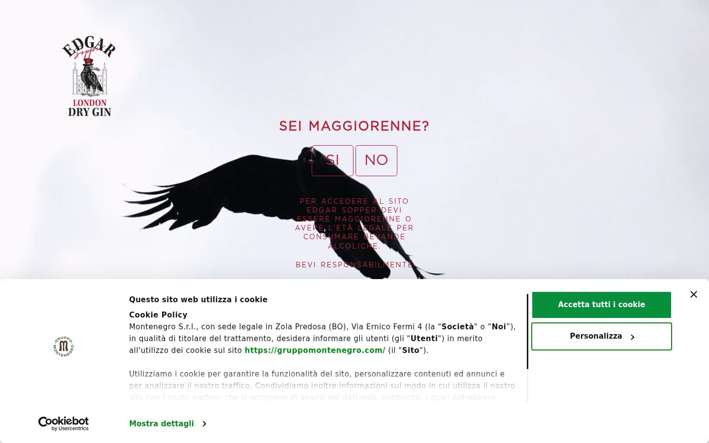 Zrzut ekranu banera zgody wyświetlanego przed jakąkolwiek interakcją