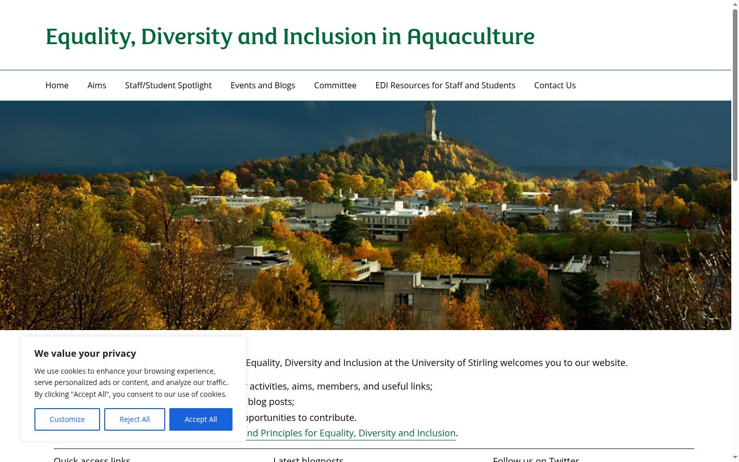 Screenshot of the consent banner shown before any interaction