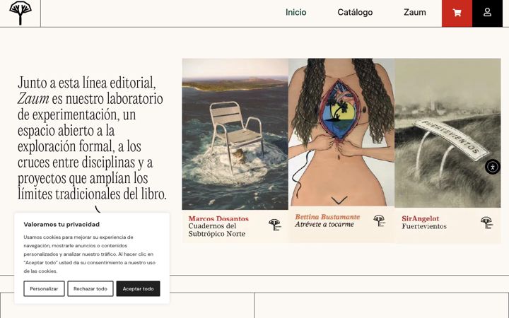 Screenshot of edicioneseldrago.com