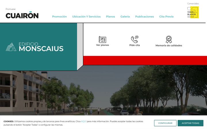 Screenshot of edificiomonscaius.com