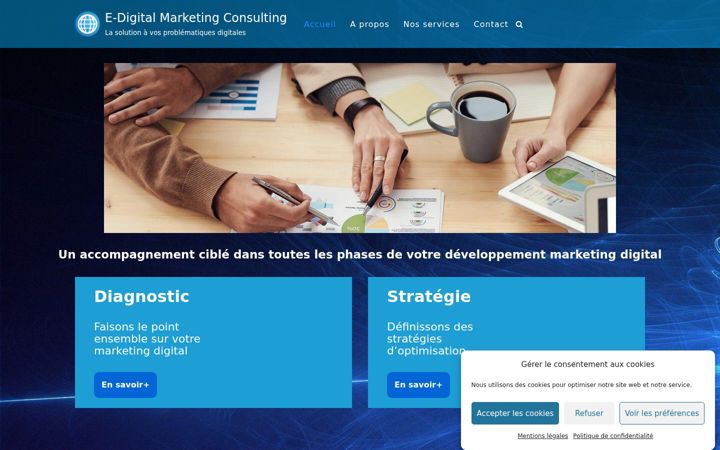 Screenshot of edigitalmarketingconsulting.com