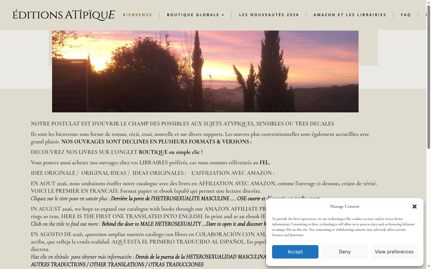 Screenshot of the consent banner shown before any interaction