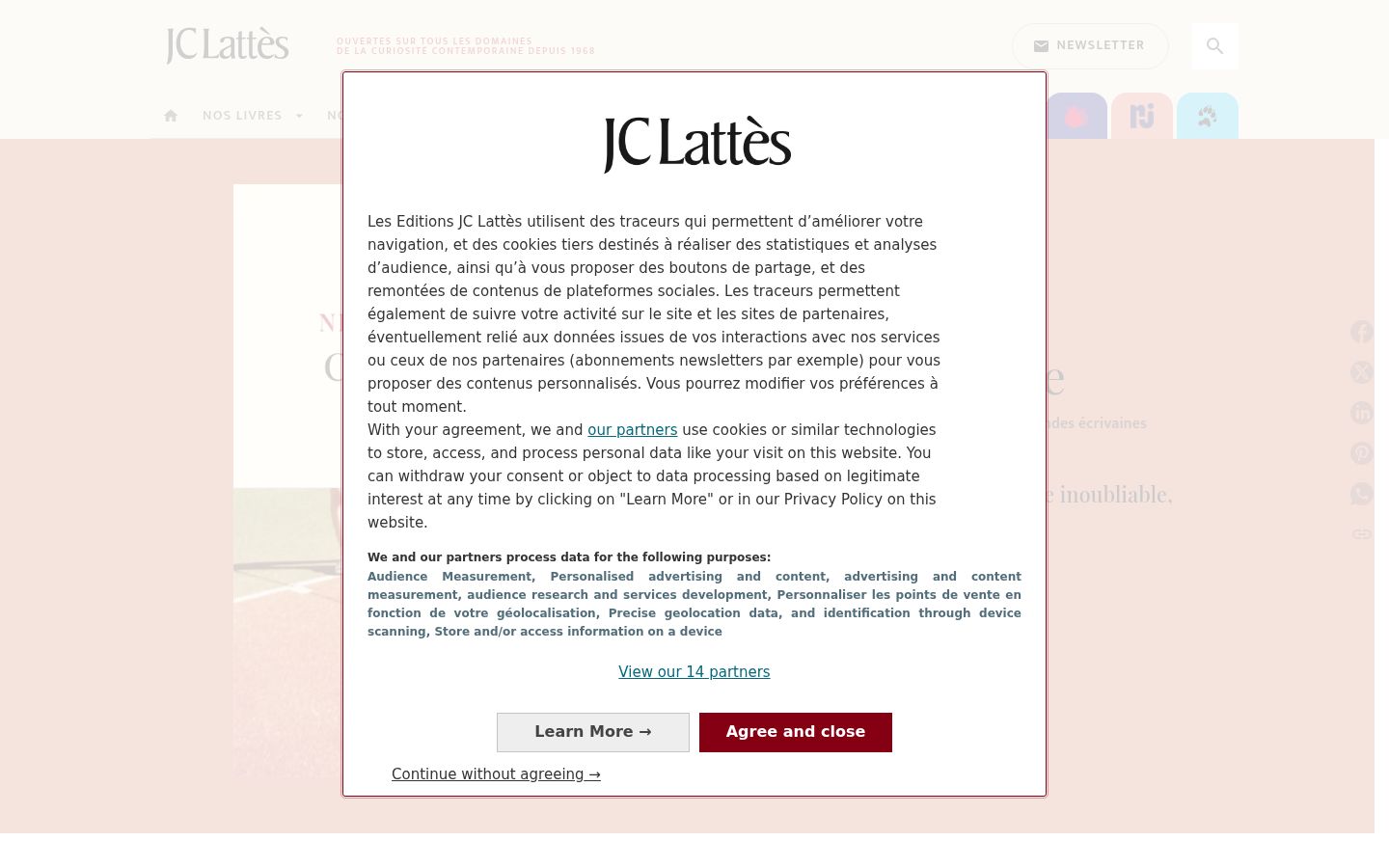 Screenshot of the consent banner shown before any interaction