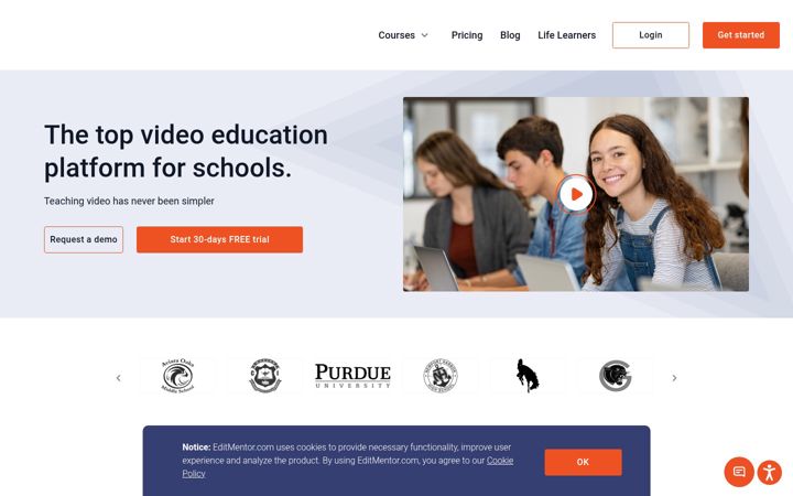 Screenshot of editmentor.com
