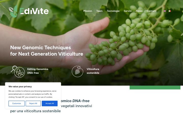 Screenshot of edivite.it