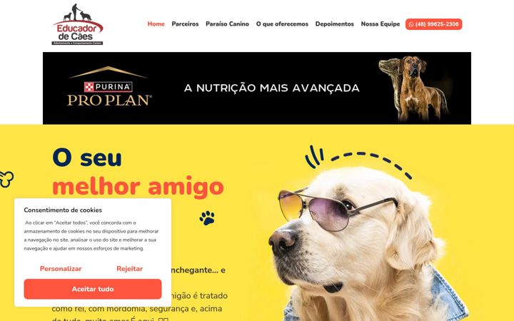 Snímek obrazovky educadordecaes.com.br