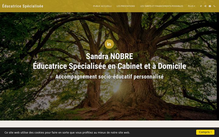 Screenshot of educateurspecialisetoulouse.fr