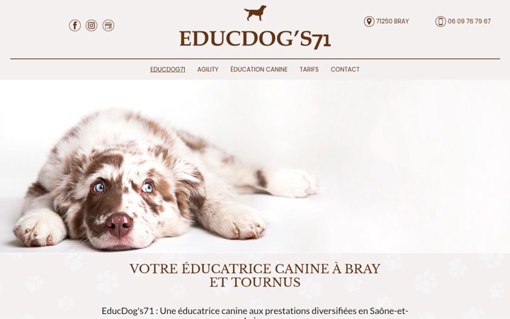 Screenshot of educdog71-canin.fr