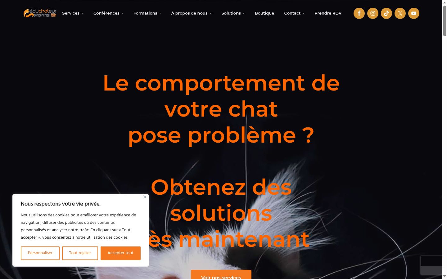 Capture d'écran de la bannière de consentement affichée avant toute interaction
