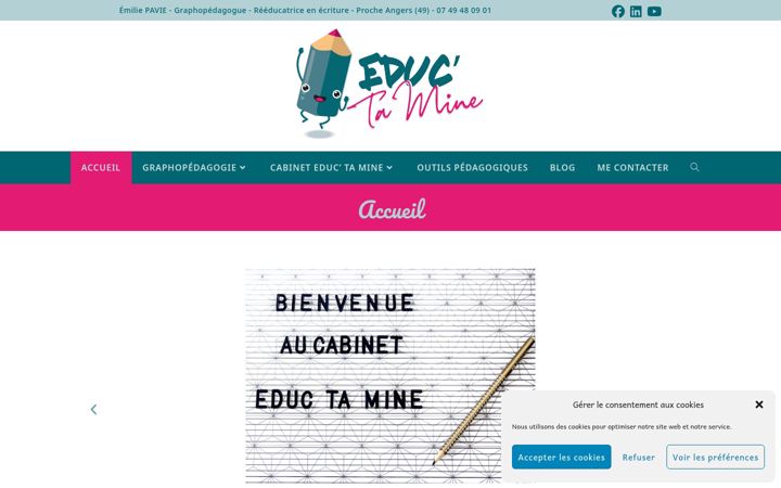 Screenshot di eductamine.fr