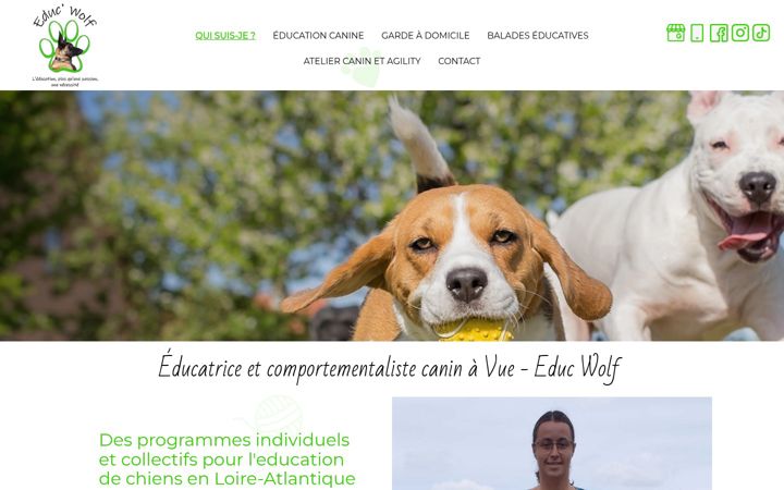 Screenshot of educwolf.com