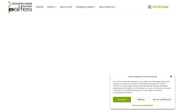 Екранна снимка на eduquatrepattes.ca