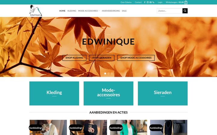 Screenshot of edwinique.nl