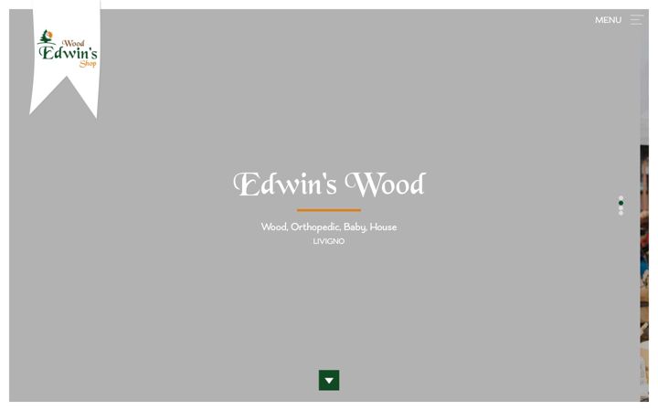 Screenshot of edwins.it