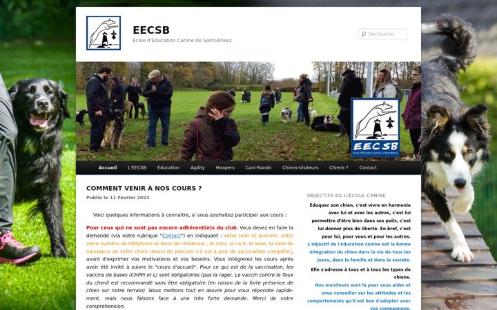 Screenshot di eecsb.fr