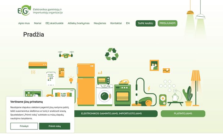 Screenshot of eei.lt